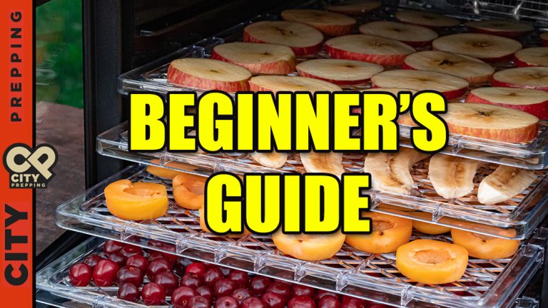 Beginners Guide To DIY Dehydrator