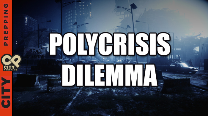 Polycrisis Dillemma