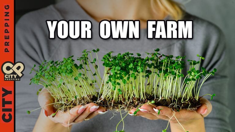 DIY Farm