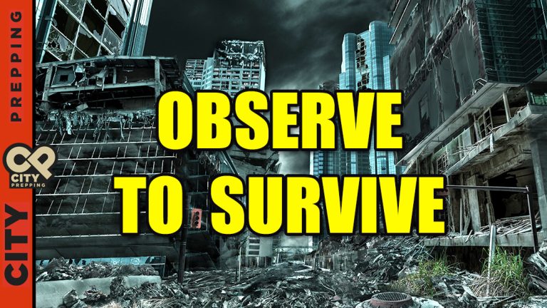 Observe To Survive